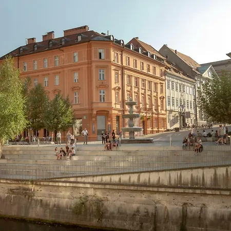 Fine Dalmatinova Ljubljana