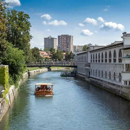 Apartment Fine Dalmatinova