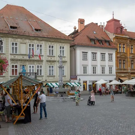 Fine Dalmatinova Daire