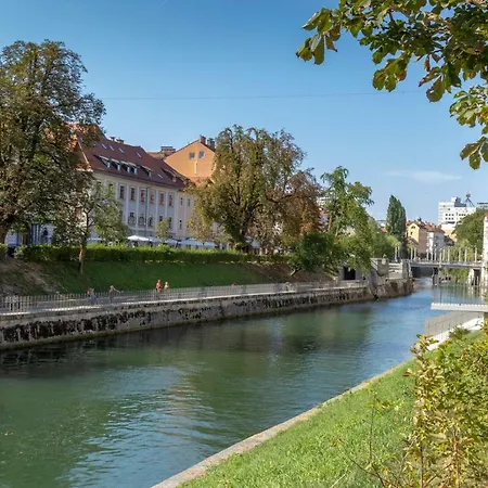 Fine Dalmatinova * Ljubljana
