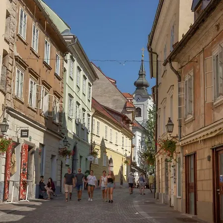 Fine Dalmatinova Ljubljana