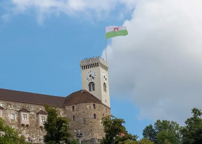 Appartamento Fine Dalmatinova *