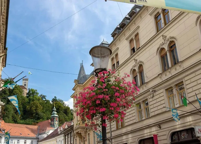 Fine Dalmatinova Appartamento *