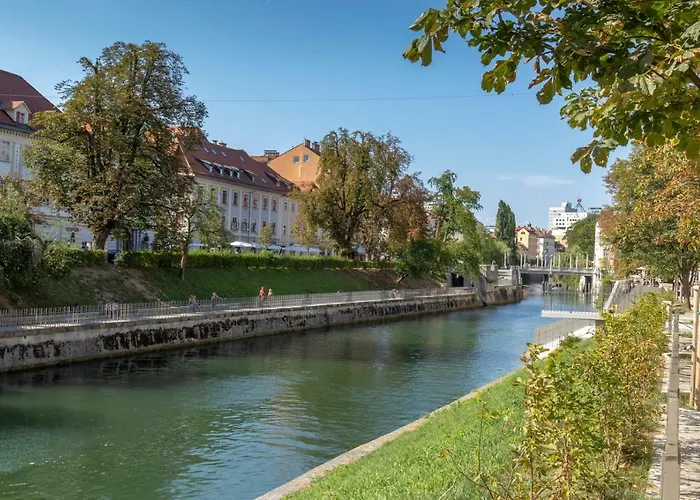 Fine Dalmatinova * Ljubljana