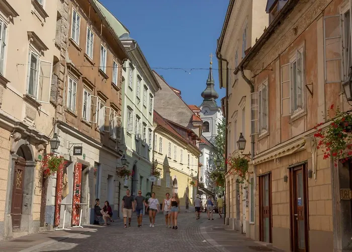 Fine Dalmatinova Lubiana